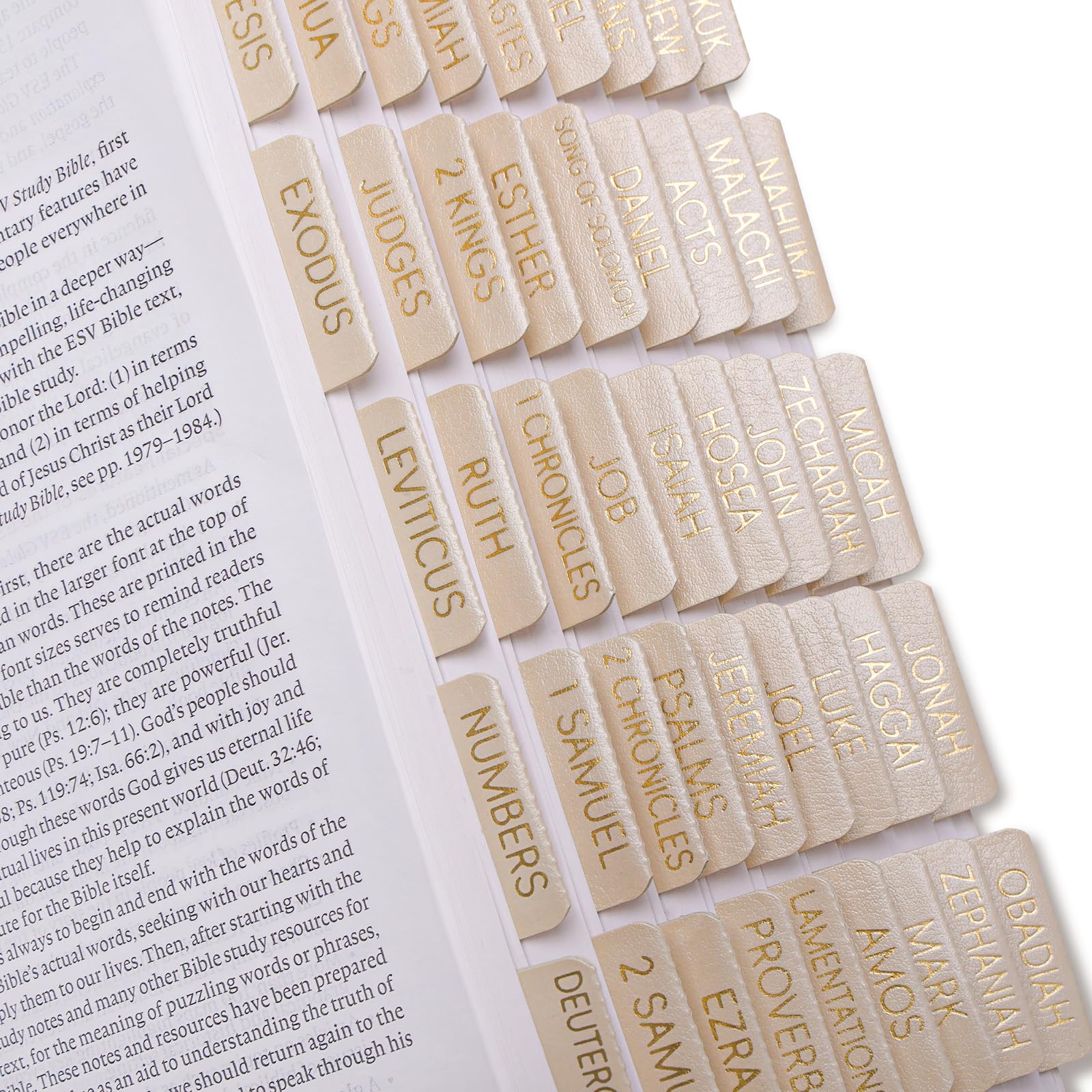 XKDOUS Leather Nude Beige Bible Tabs, Laminated Large Print Gold Foil Bible Tabs for Men Women, 75 Bible Chapter Tabs, Bible Index Tabs, Bible Book Tabs (Light Nude)