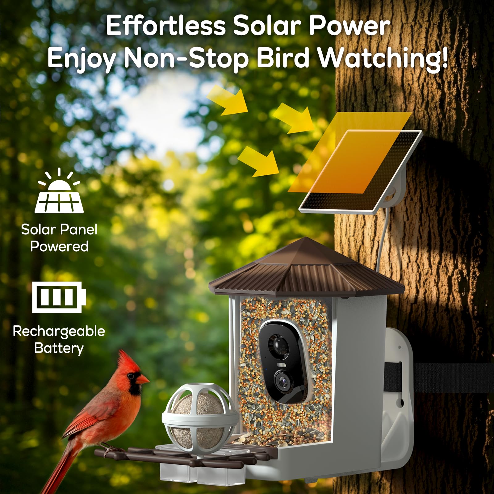 Today's best bird feeder cameras that we've tested for birdwatching at home Tech