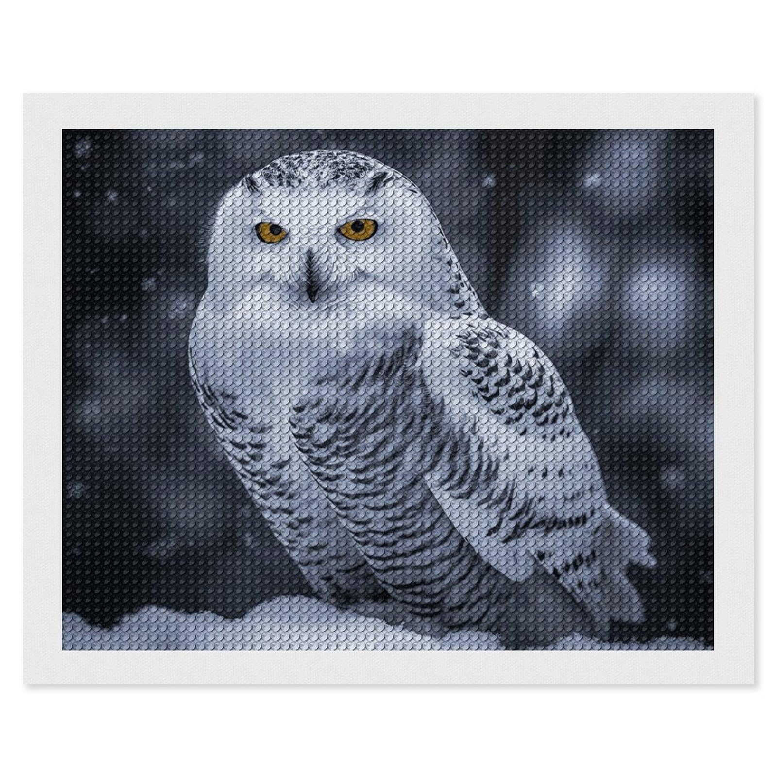 Arctic Owl Diamond Painting Kits for Adults, DIY 5D Diamond Painting Kits for Beginners, Round Full Drill Diamond Dots Paintings, Diamonds Pictures Gem Art for Crafts Home Decor 16"x20"
