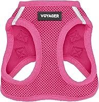 Best Pet Supplies Voyager Step-in Air Harness for Small Dogs & Cats - Reflective Mesh, No-Pull, Triple Secure - Fuchsia Small