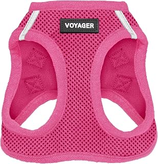 Best Pet Supplies Voyager Step-in Air Harness for Small Dogs & Cats - Breathable Mesh, Reflective, Secure Triple Lock, XS Fuchsia