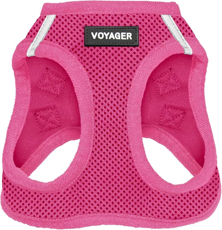 Best Pet Supplies Voyager Step-in Air Harness - All Weather Mesh, Reflective, No Pull Harness for Dogs, Cats - Secure with Hook &amp; Loop Fastener, Buckle, Double D-Rings - Fuchsia, S