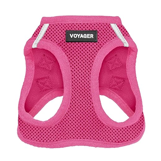 Best Pet Supplies Voyager Step-in Air Dog Harness - All Weather Mesh, Reflective, No Pull Harness for Small, Medium Dogs, Cats - Secure with Hook & Loop Fastener, Buckle, Double D-Rings - Fuchsia, S