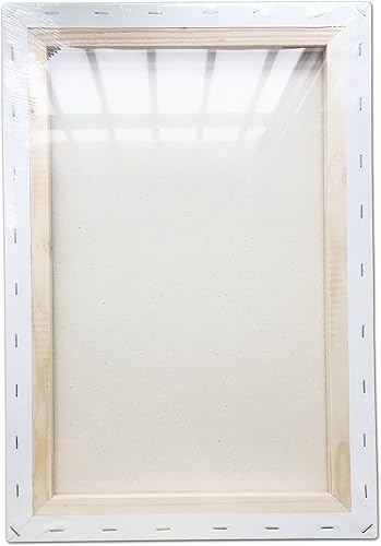 Miniatura 3 de LWR CRAFTS - Paquete de lienzos grandes estirados