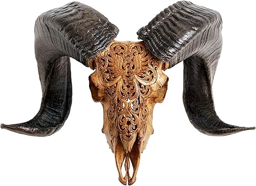 Skull Bliss - Cráneo de Ram de taxidermia auténtica tallada a mano con cuernos decoración auténtica del hogar decoraciones únicas de calavera de