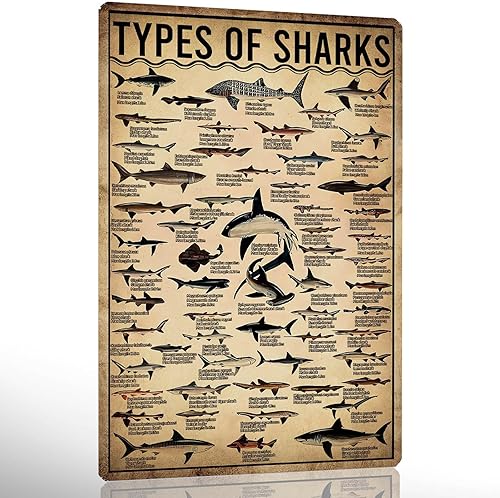 Miniatura 10 de Ykfss Carteles de Conocimiento de Electricista Regalos para Electricistas Cartel de Conocimiento de Electricista Gadgets para Electricistas Regalos