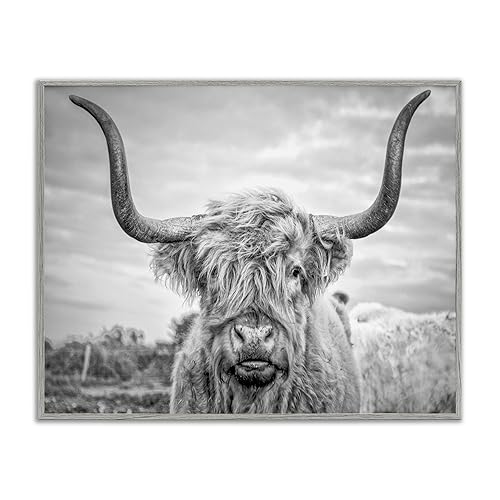 Stupell Industries 'Grey Highland Cow Photograph', Framed Giclee Art, Gray,