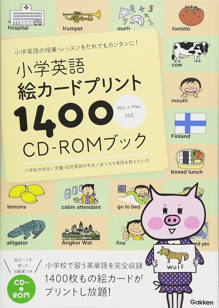 英語学習用 Picture Cards セット fsc00b.jpg