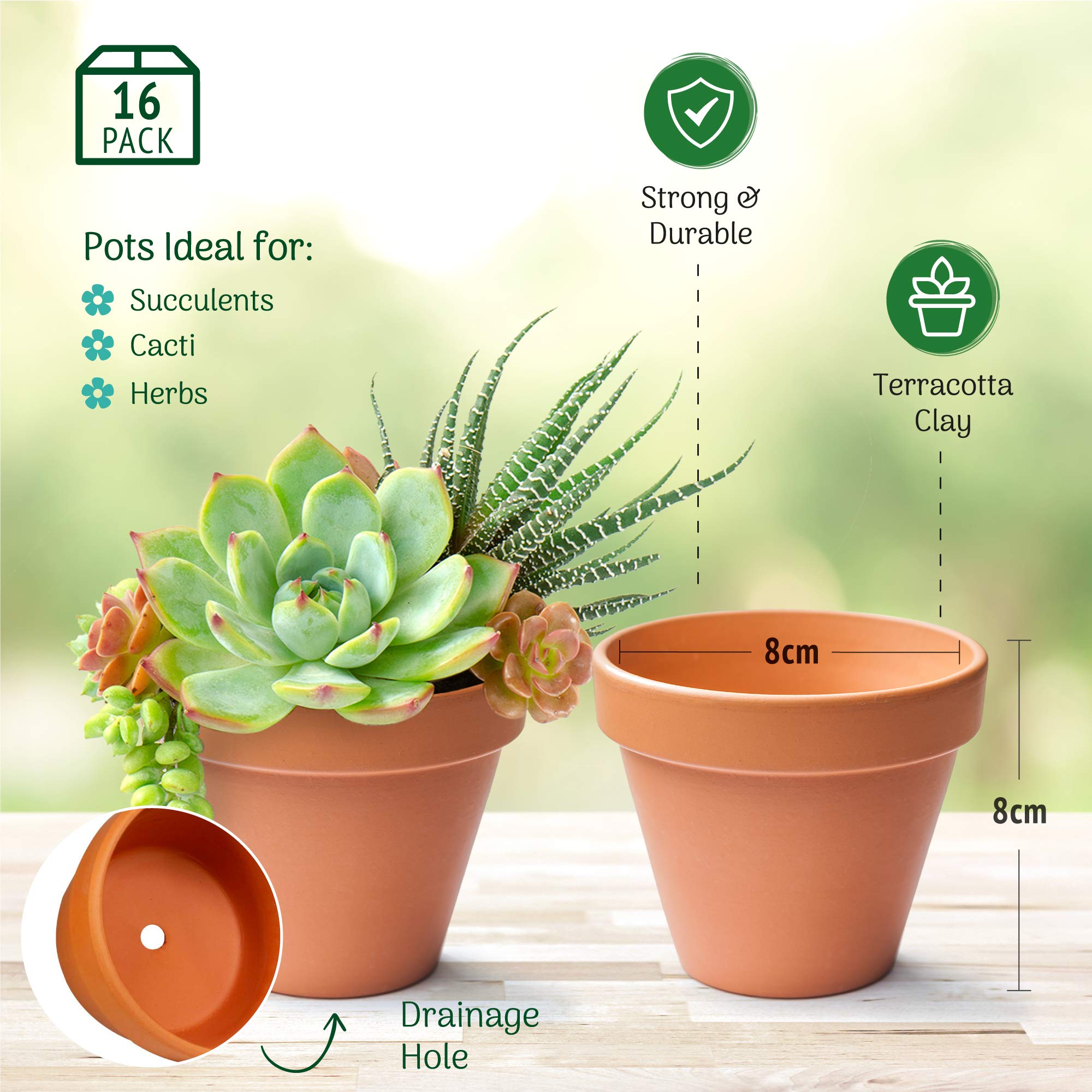 Green Thumbz Pots en Terre Cuite, Mini Pots de Plantes et de Fleurs, jardinière pour épices, semis, Plants et Fleurs (Lot de 16-8cm)
