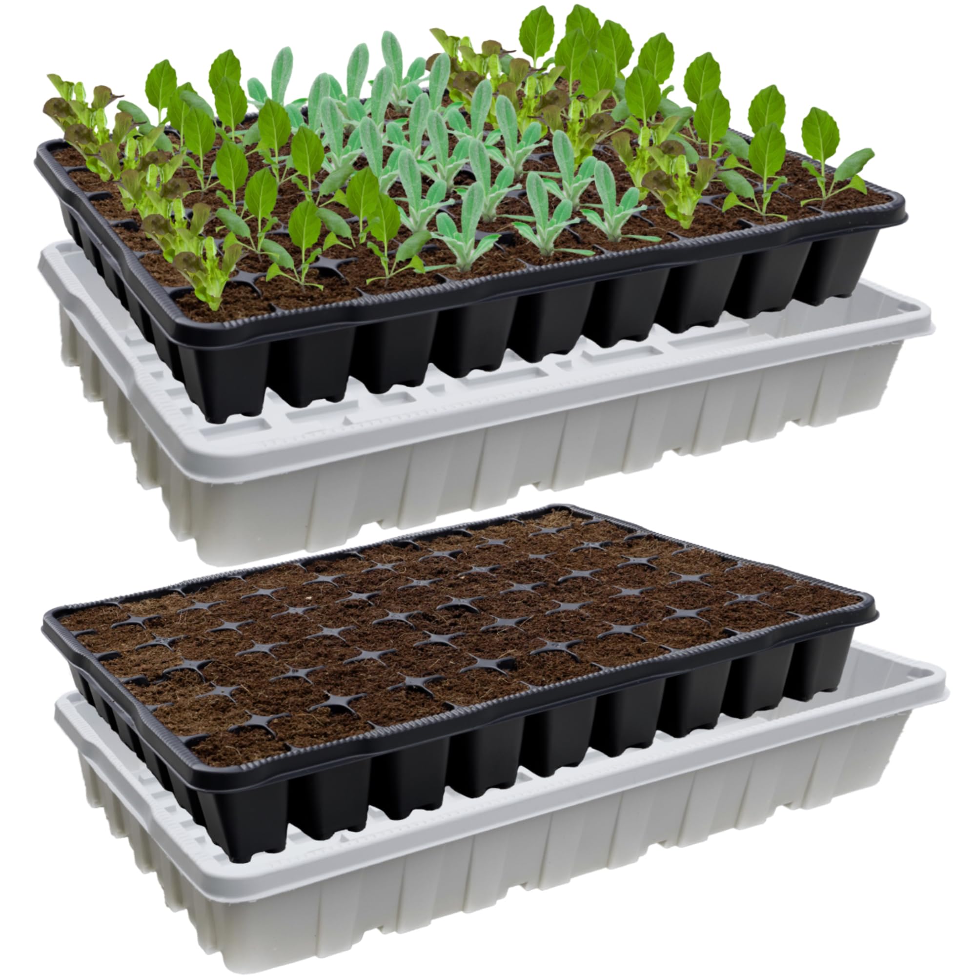 KRONLY Lot de 2 plaques de culture solides avec soucoupe 108 trous de plantation - Plaque de semences pour la culture