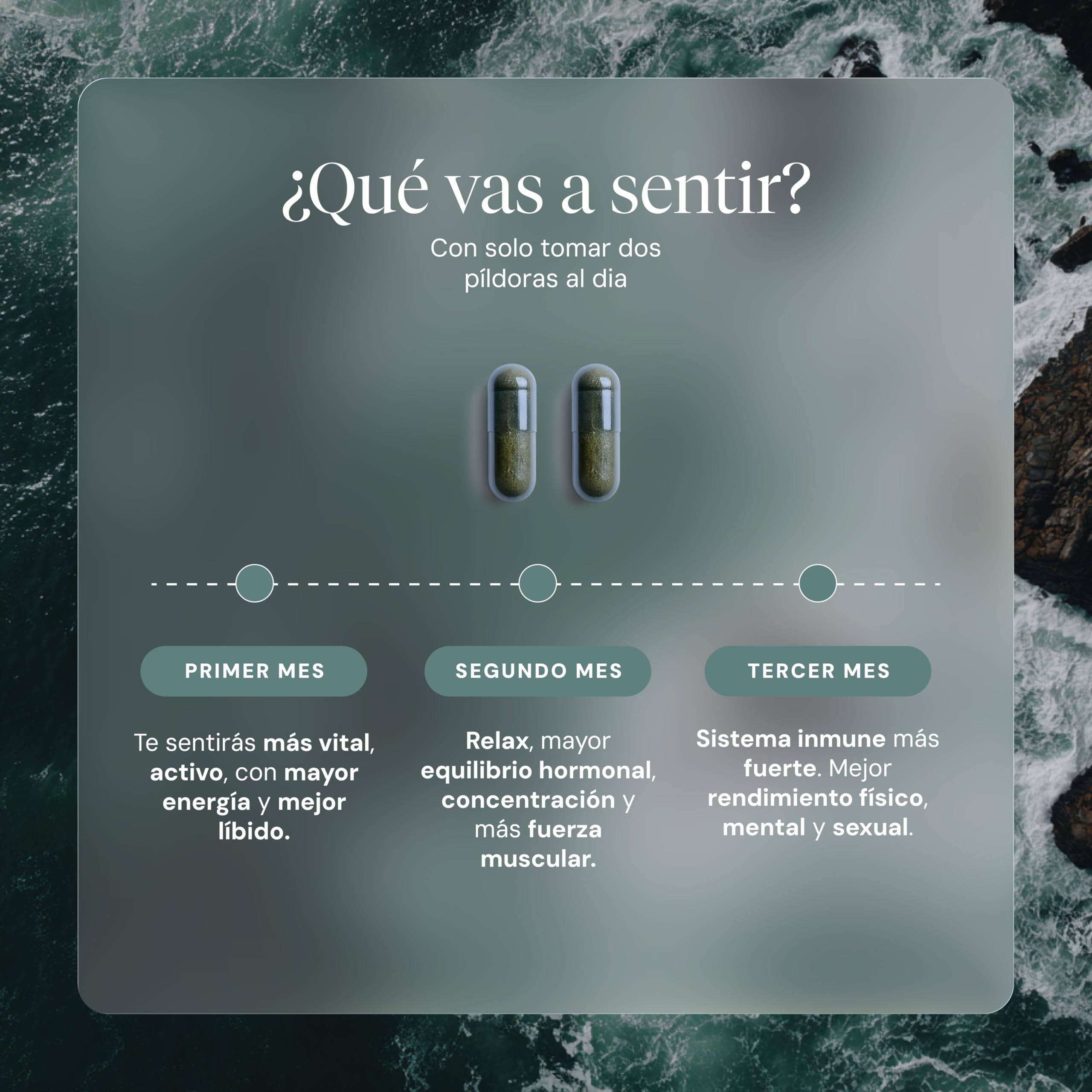 HIFAS DA TERRA - Suplemento de Hongos Optimum Men con Extracto de Hongos Cordyceps y Reishi - Refill 60 Cápsulas