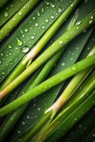 Miniatura 6 de Té de citronela 1 libra (16 onzas)  100% orgánico certificado por USDA  Corte y tamizado de hojas sueltas Té y condimento  Aroma rico en hierba de