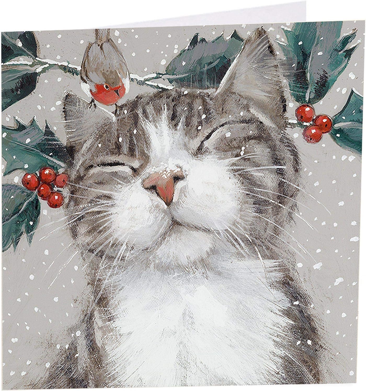 Cat Christmas Cards - Nipping at your nose - Pack of 6 in aid of Shelter