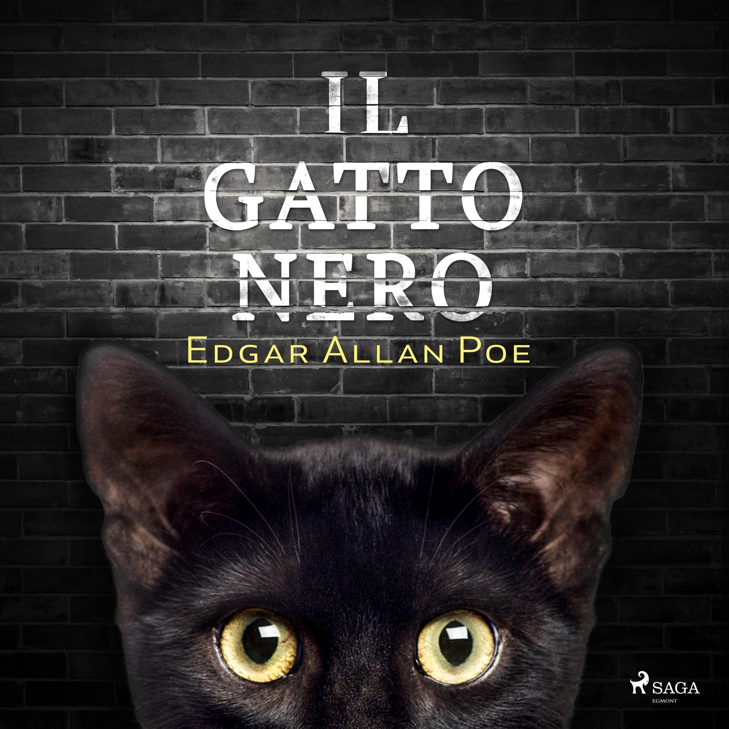 Cover art for Il gatto nero