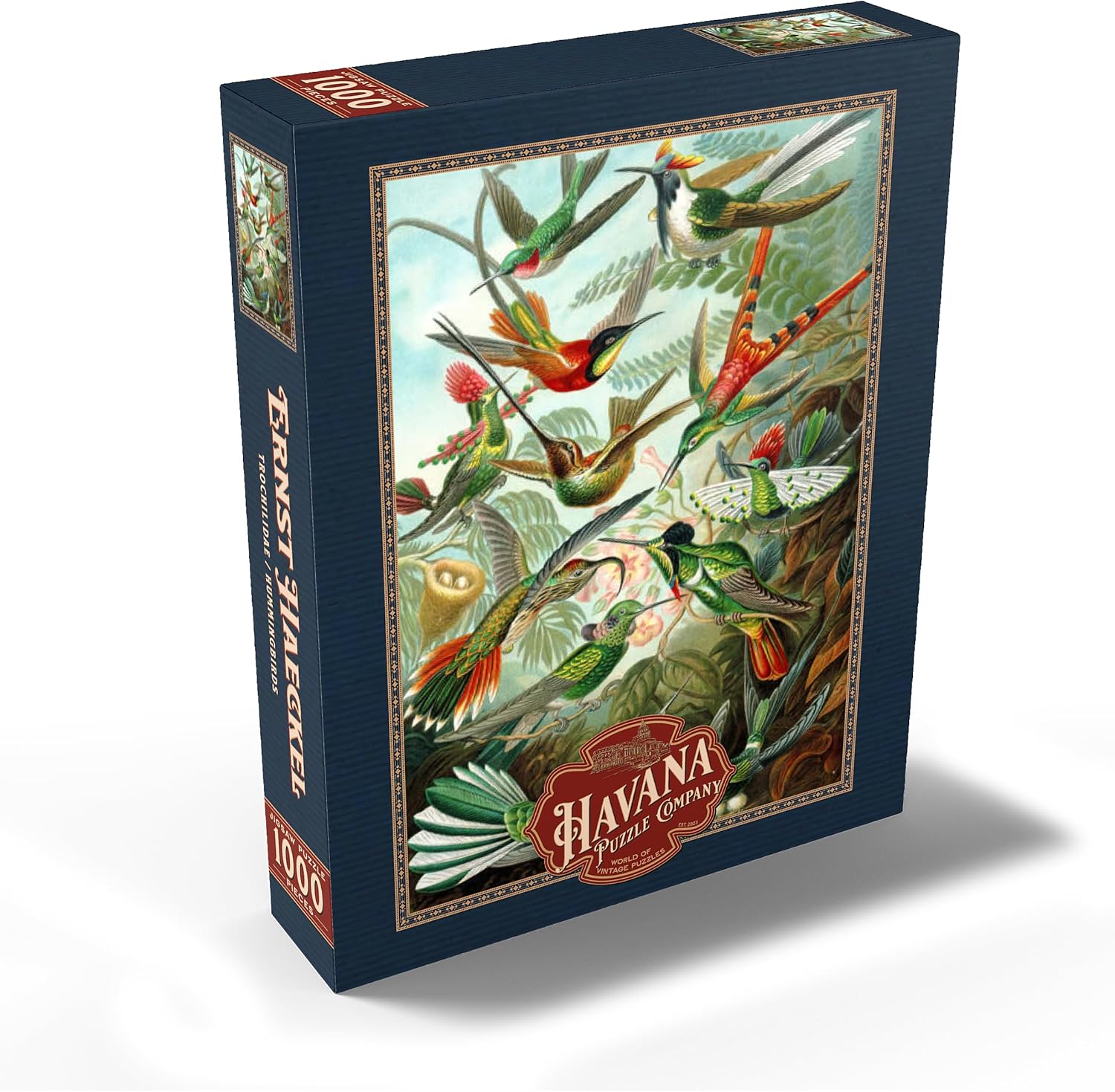MyPuzzle Hummingbirds and Trochilidae, Vintage Art Poster, Ernst Haeckel - Premium 1000 Piece Jigsaw Puzzle for Adults