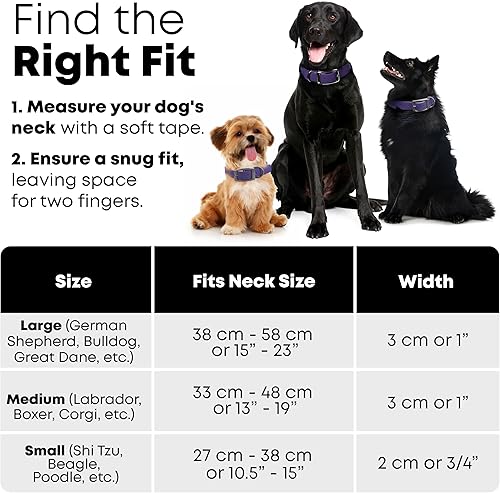 Miniatura 19 de Regal Dog Products Collares de perro grandes, impermeables, color rosa, con placa de nombre grabada personalizada, revestimiento de vinilo, anti