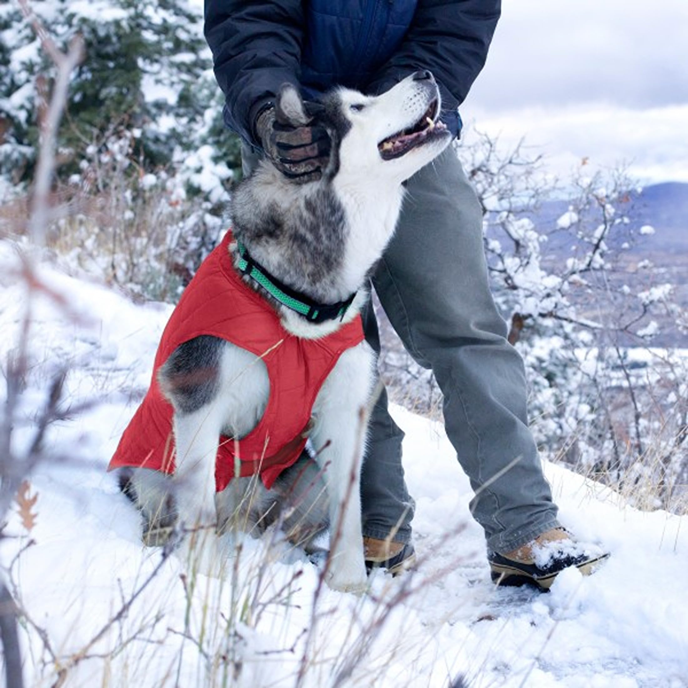 Kurgo Loft - Cappotto Reversibile per Cani, Resistente all'Acqua, Riflettente, Leggero, Compatibile con Imbracatura - Rosso/Grigio, XL