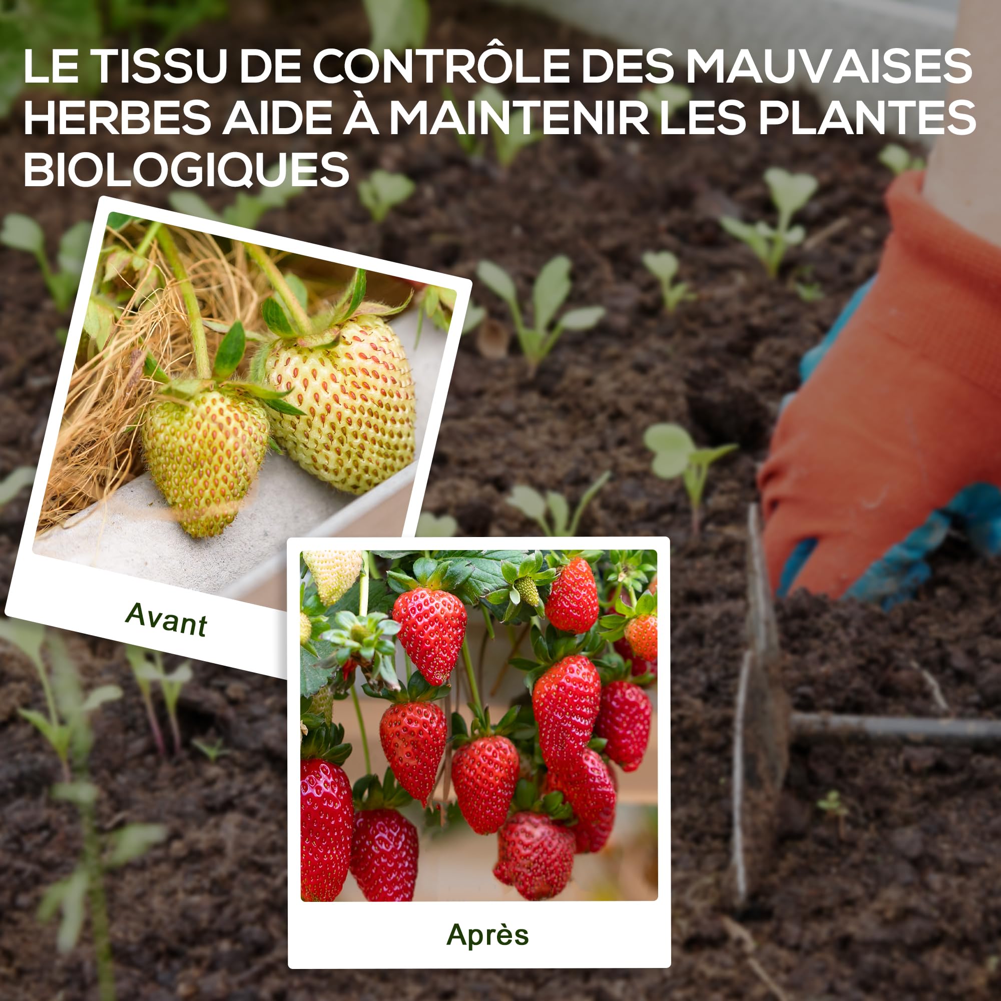Outsunny Toile de Paillage 100 x 1 m Résistant aux Déchirures PP Noir | Géotextile de Paillage Contre les Mauvais Herbes, Conditions Climatiques Extrêmes