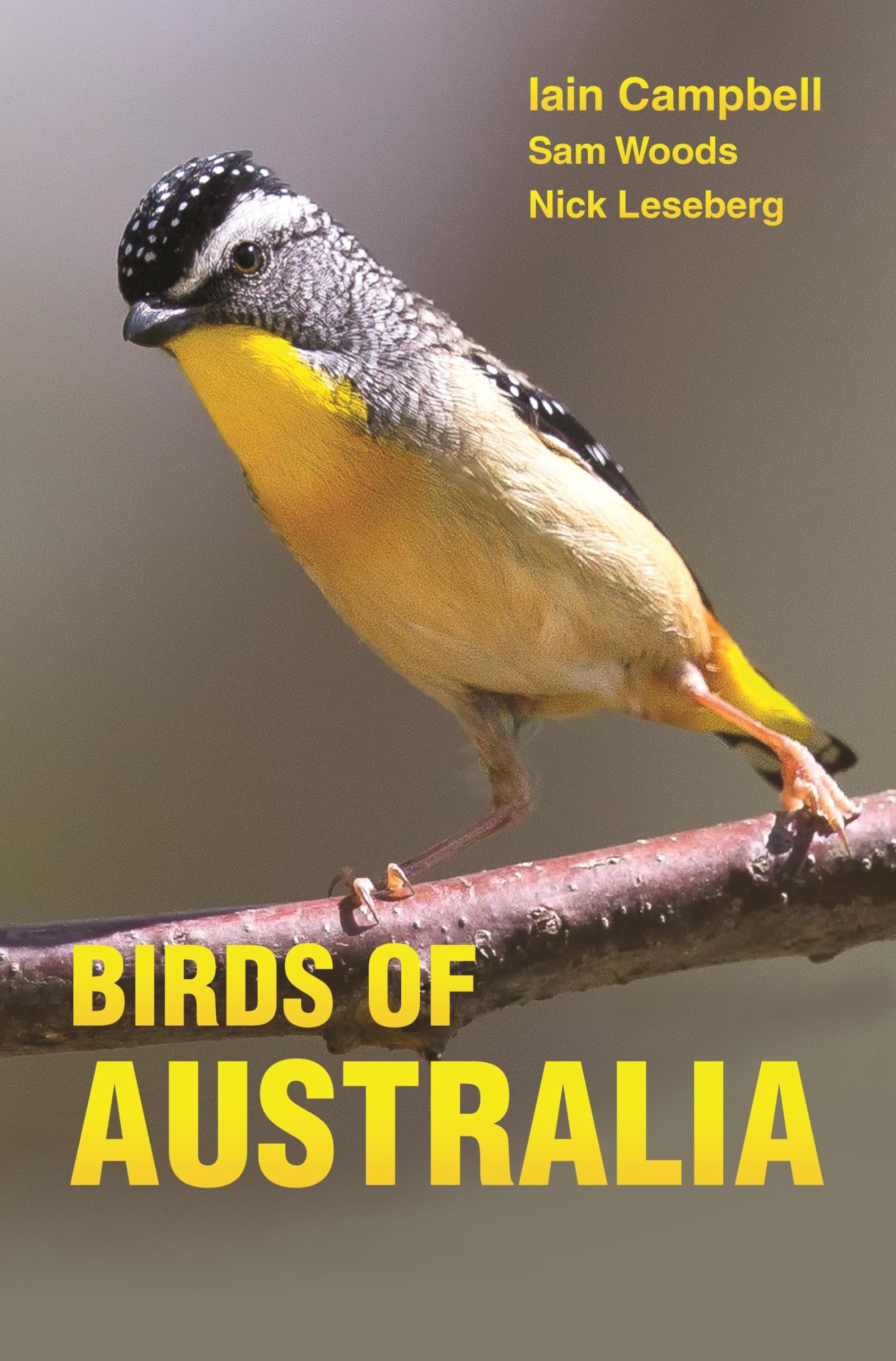 Birds of Australia: A Photographic Guide Paperback – Illustrated, November 9, 2014