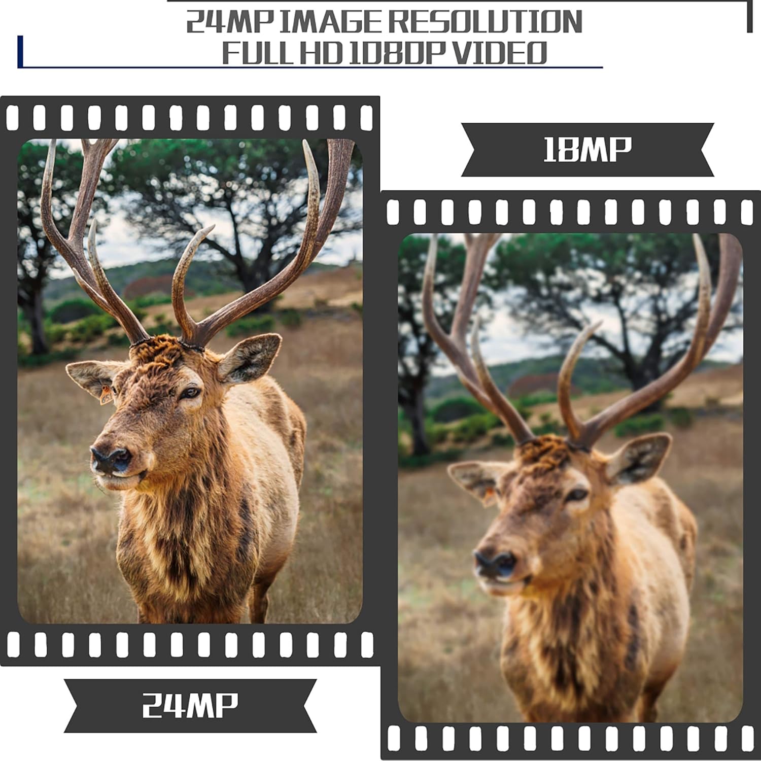Onе-Dау Sаlе: Uр tо 70% оƒƒ Boly Supper Small Trail Camera 24MP 1080p HD Video with 940nm Black IR LED Light for Wildlife, Adjustable Sensor up to 85ft. Detection, Trigger time Less Than 1.2s Hunting Cam, Green