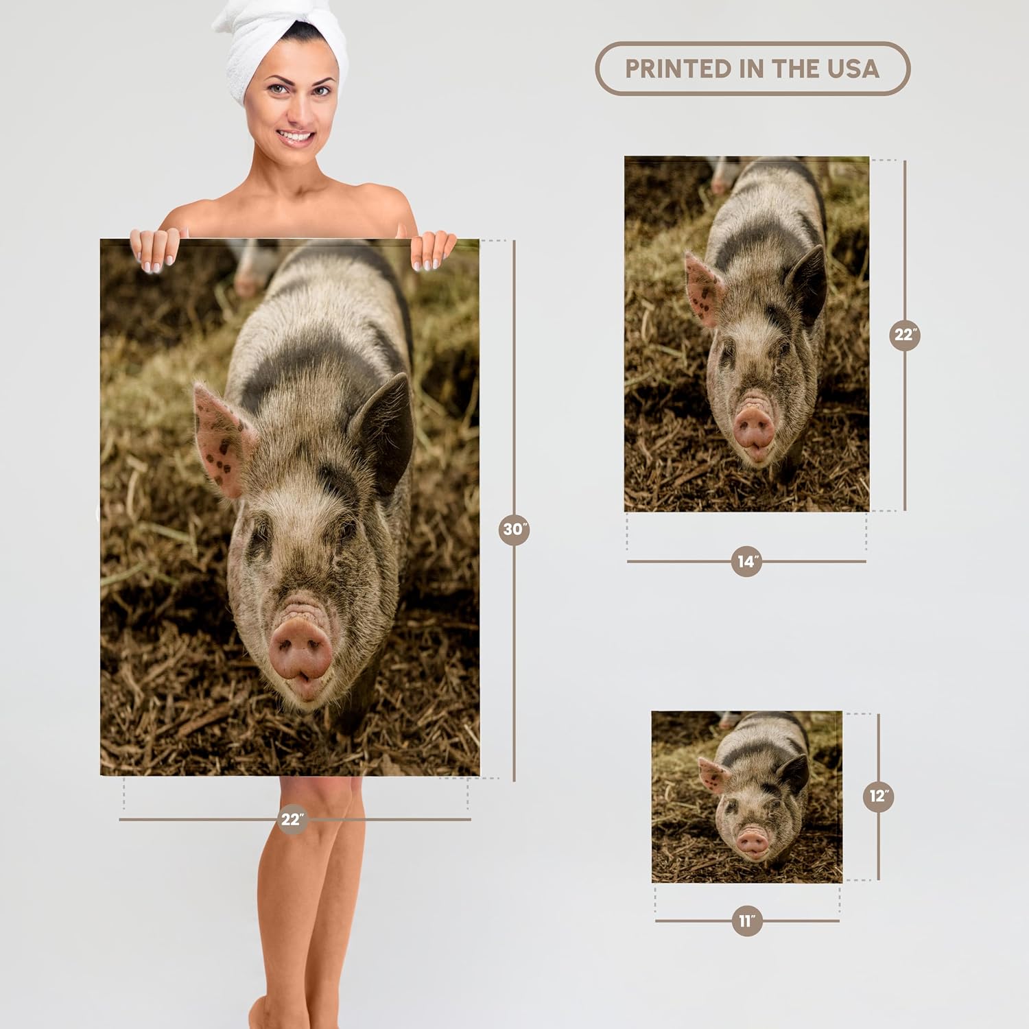 3dRose The Kunekune is a Small Breed of Domestic Pig with a Friendly Nature 22x30 Bath Hand Pool Towel