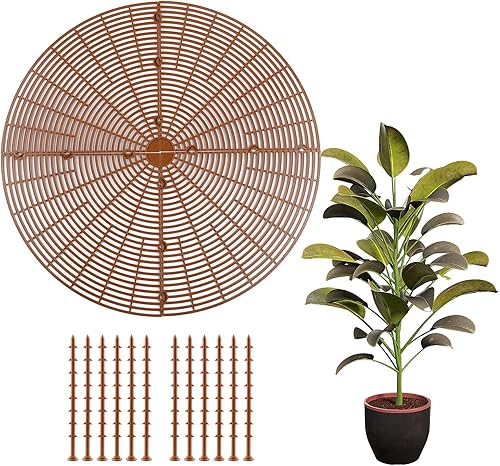 BSRTOP Mantén a los gatos fuera de las plantas en maceta paquete de 4 protectores de plantas de interior de 20.4 pulgadas para proteger de animales