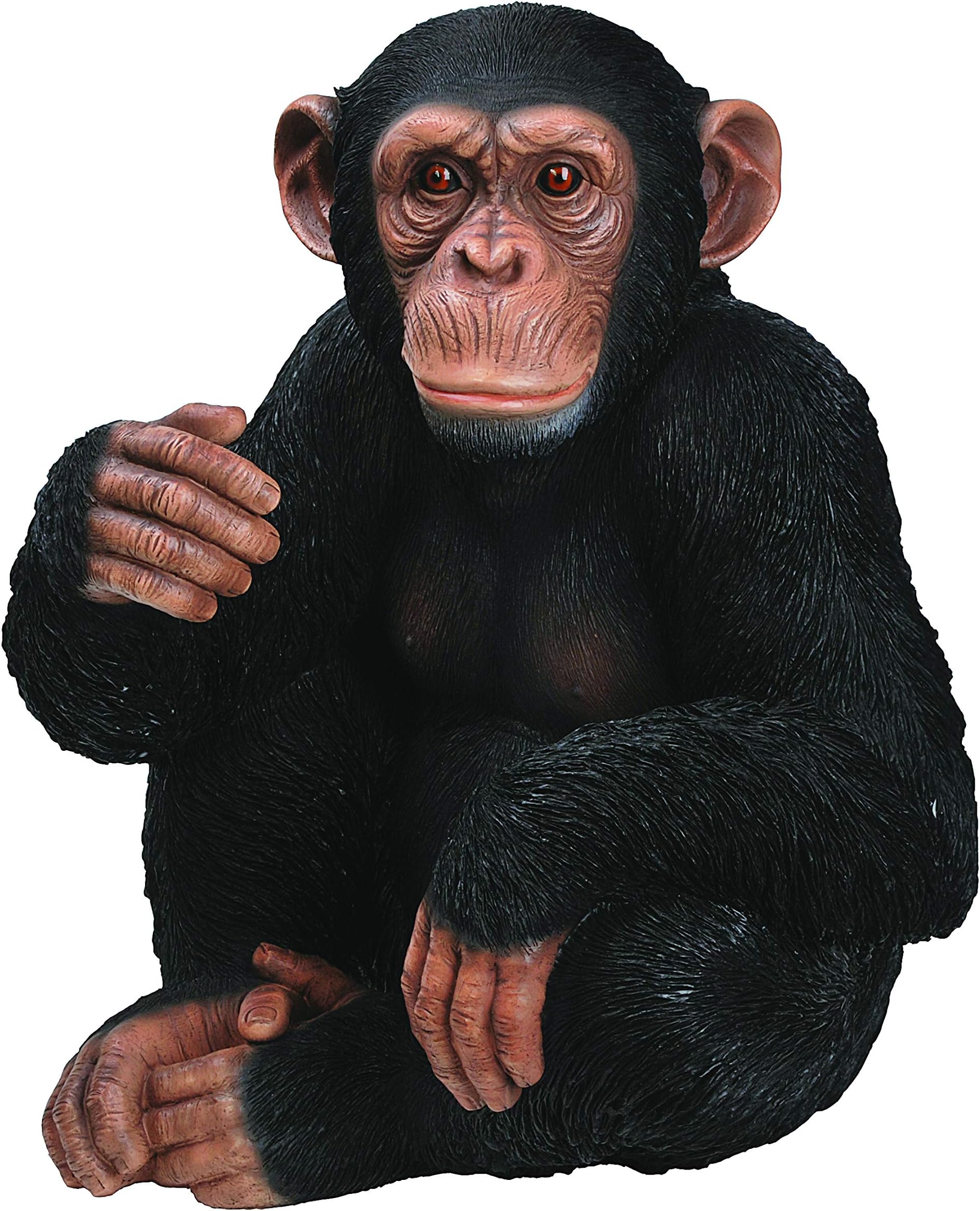 Vivid Arts Real Life Sitting Chimpanzee | Resin Home or Garden Decoration | XRL-CHM3-D Black