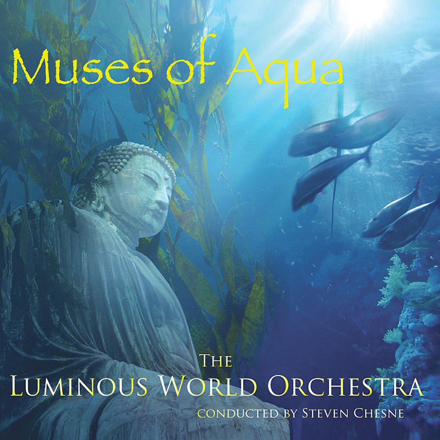 The Luminous World Orchestra (conducted by Steven Chesne)