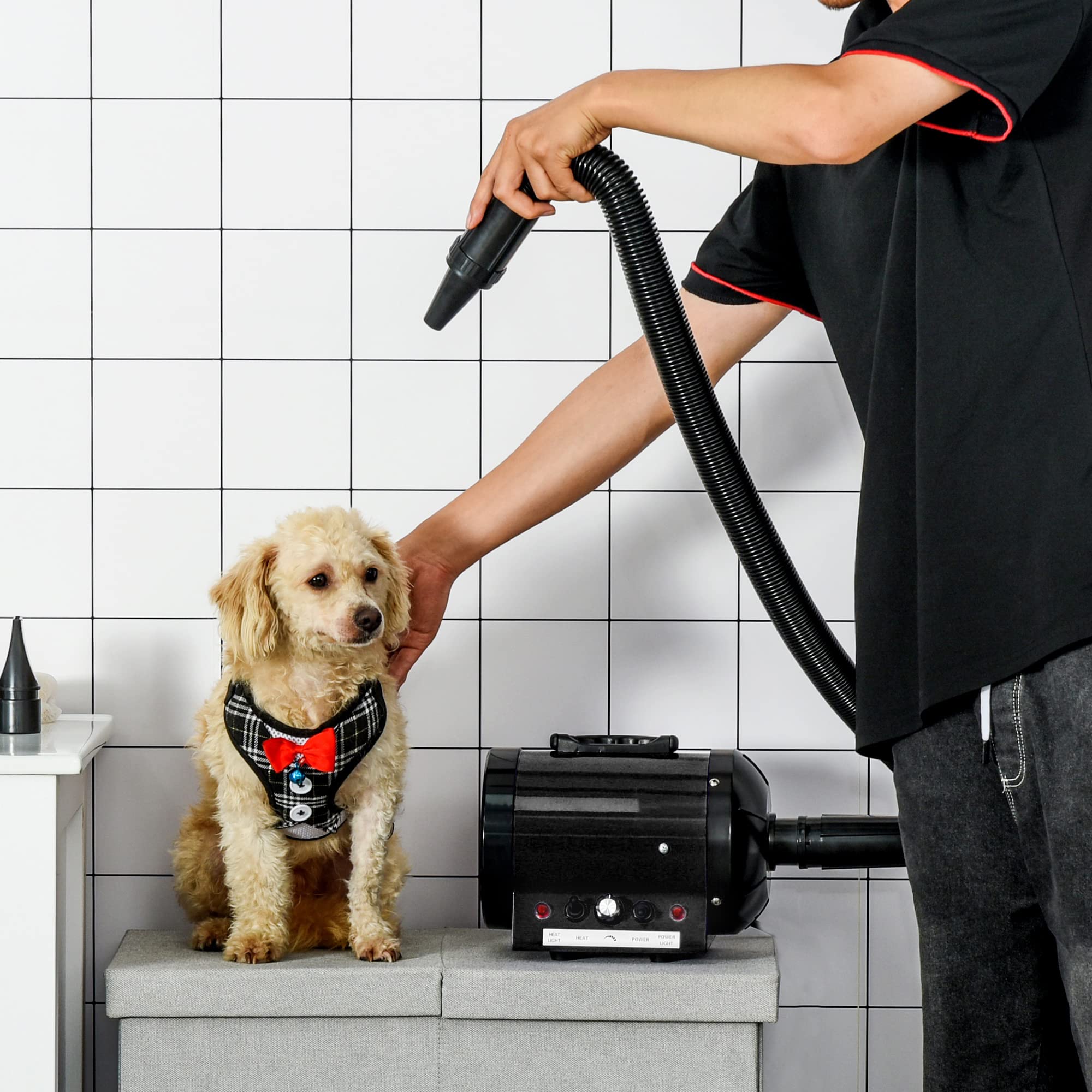 Secador de pelo profesional para perros o gatos, 2400 W Negro | Secador de pelo, secador de pelo, para animales, velocidad y temperatura, 3 boquillas intercambiables incluidas
