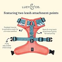 Vista 66 de Lucy & Co. Arnés para perro Midnight No-Pull – Talla M – Chaleco para dejar de tirar y caminar fácil – Cómodo producto de entrenamiento de correa