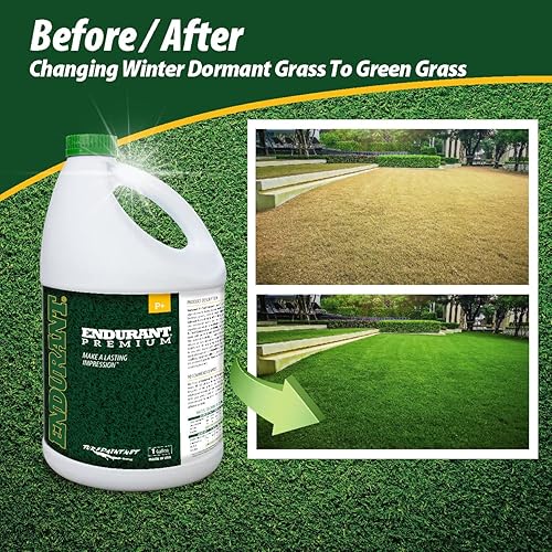 Miniatura 9 de Endurant Colorantes de césped  Spray perenne de centeno sobre pintura de césped verde para césped  Revive patios secos y parcheados  Tono de césped