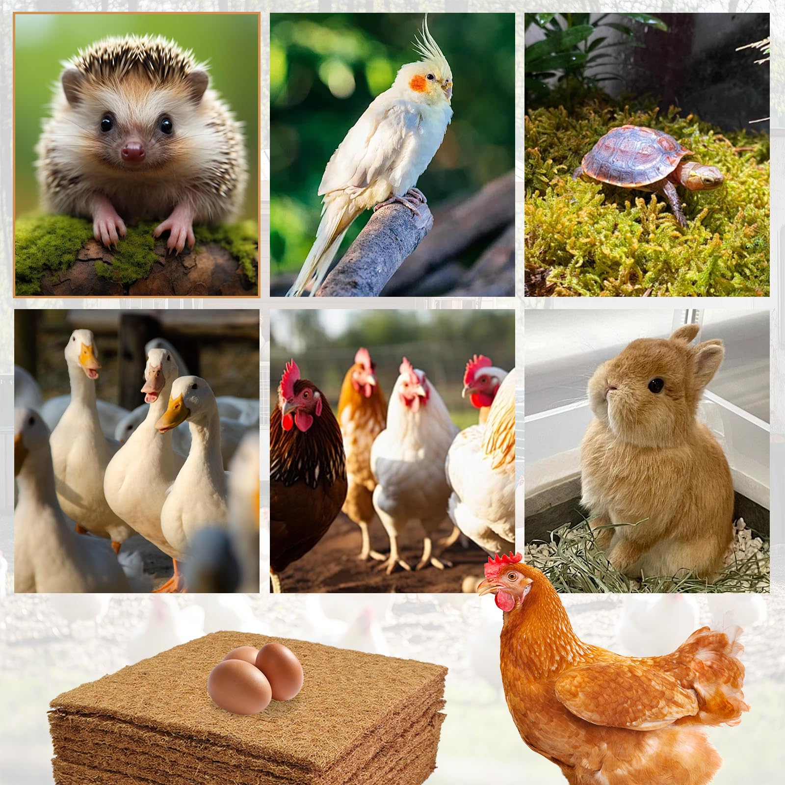 10 Nido Per Galline Ovaiole, Tappetini Per Nido Di Pollo Per Nidificare Galline, Ispessimento, Tappetino In Cocco, Riutilizzabili, Accessori Per La Protezione Di Pollaio E Uova (10, 30 x 30 cm)