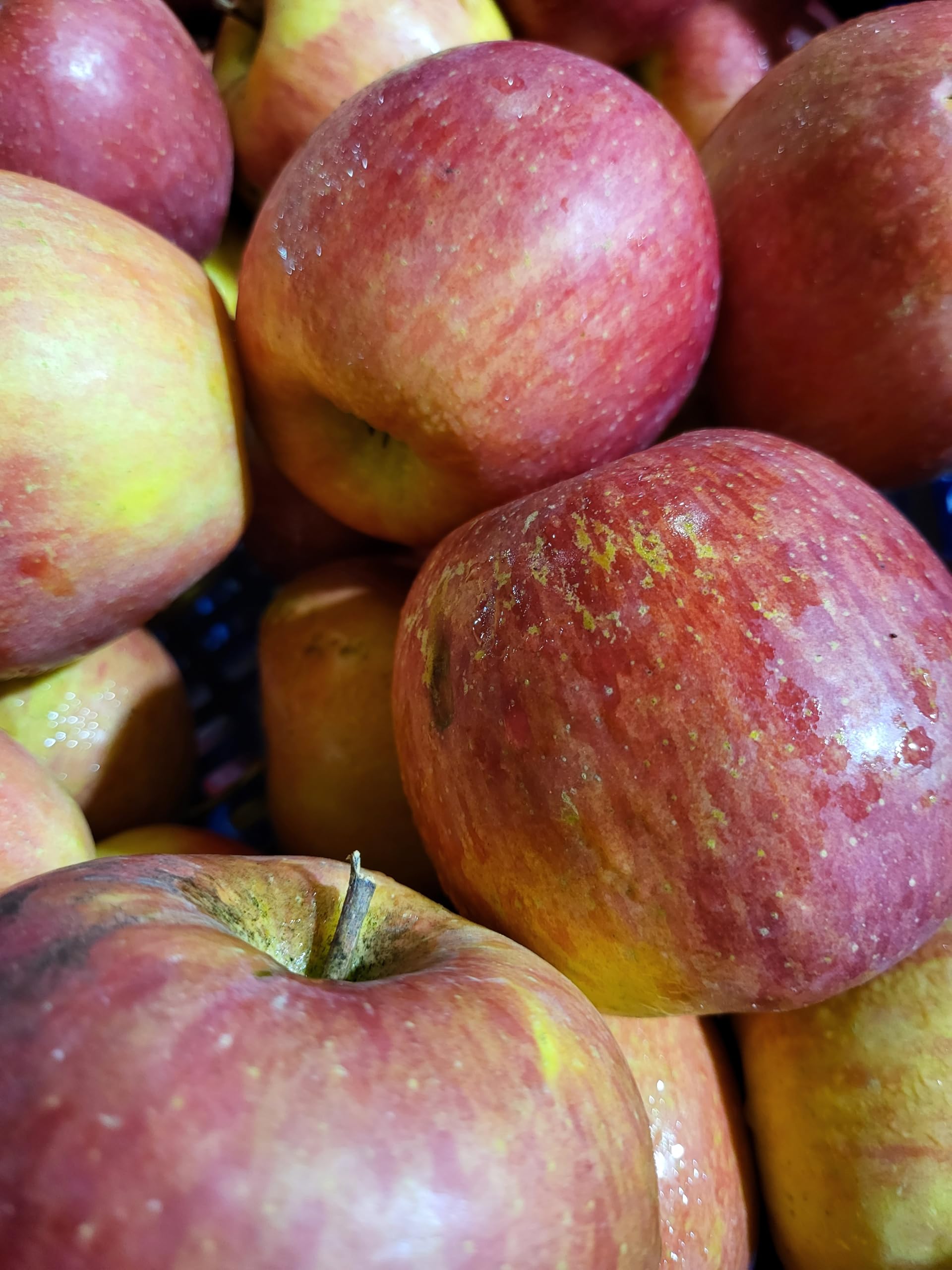 Manzanas Fuji caja de 9 Kg