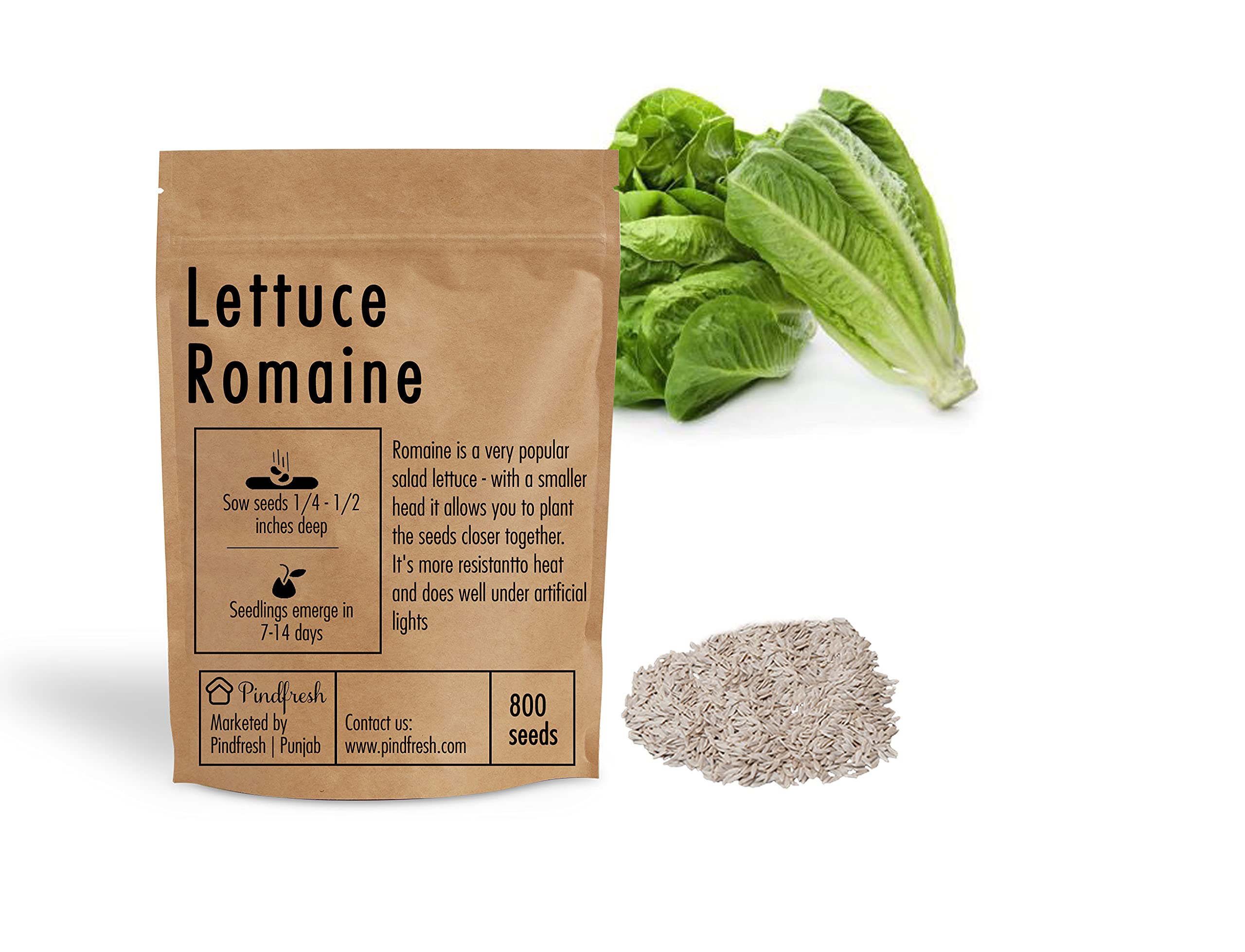 Pindfresh Seeds - ROMAINE LETTUCE SEEDS, Qty 1 packet contain 800 seeds - Hydroponics, Cocopeat & Soil Gardening (B09D9M2JQT) Amazon Price History, Amazon Price Tracker