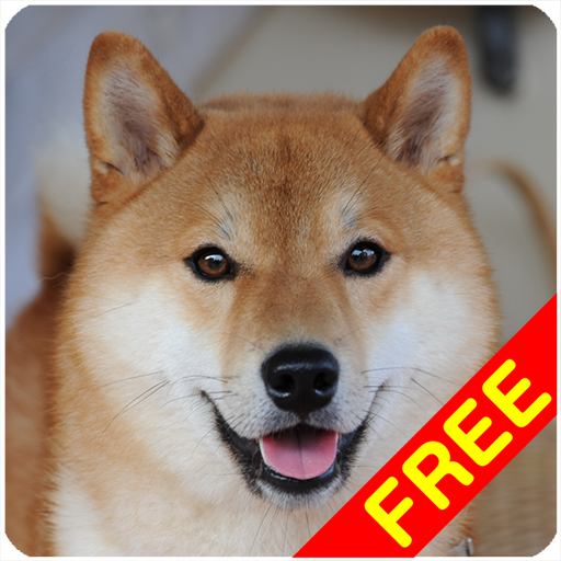 Shiba Inu Sounds App on Amazon Appstore