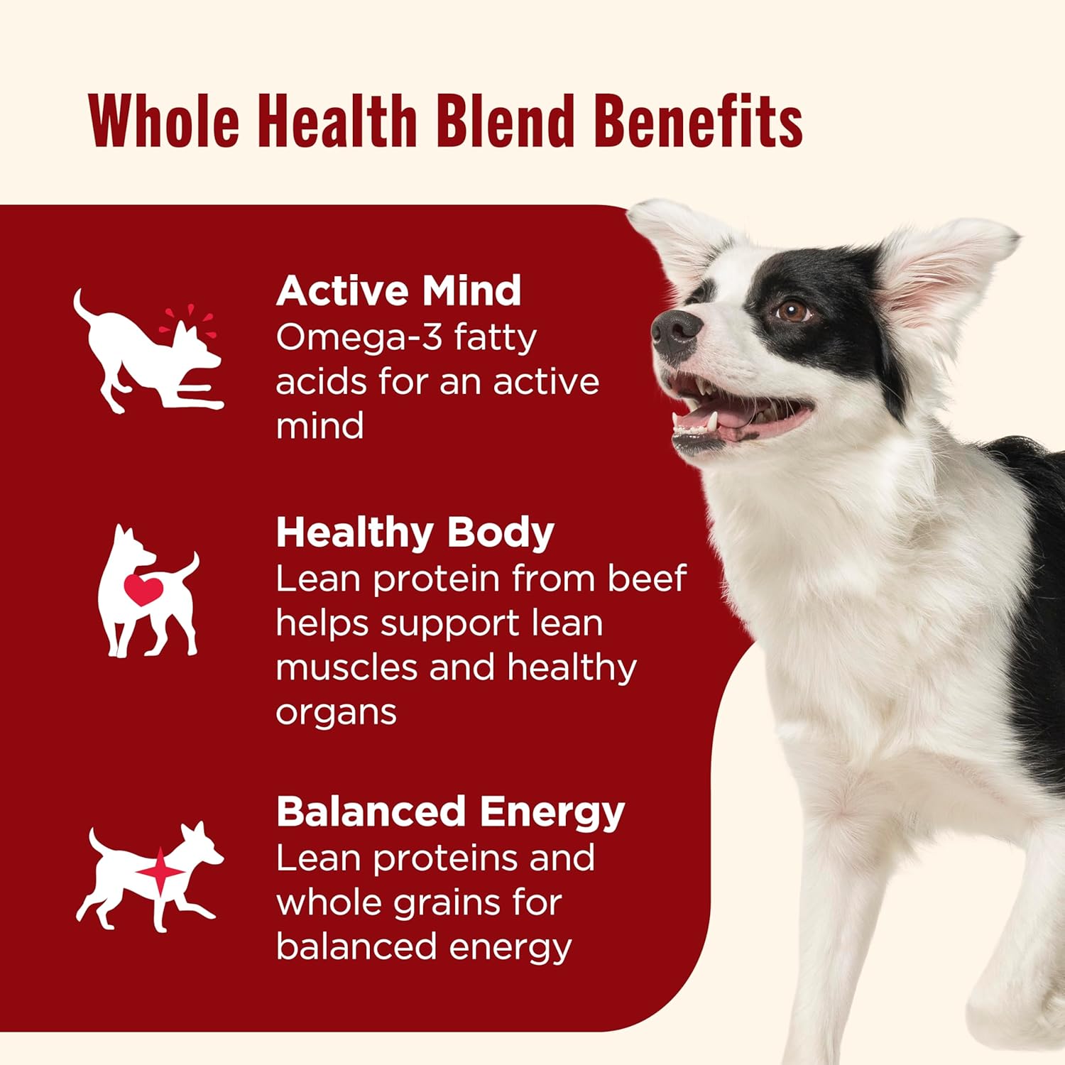 Nutrish Real Beef & Veggies Recipe Whole Health Blend Chunks in Gravy Wet Dog Food, 13 oz. Can, 12 Count, Packaging May Vary (Rachael Ray) - Image 5