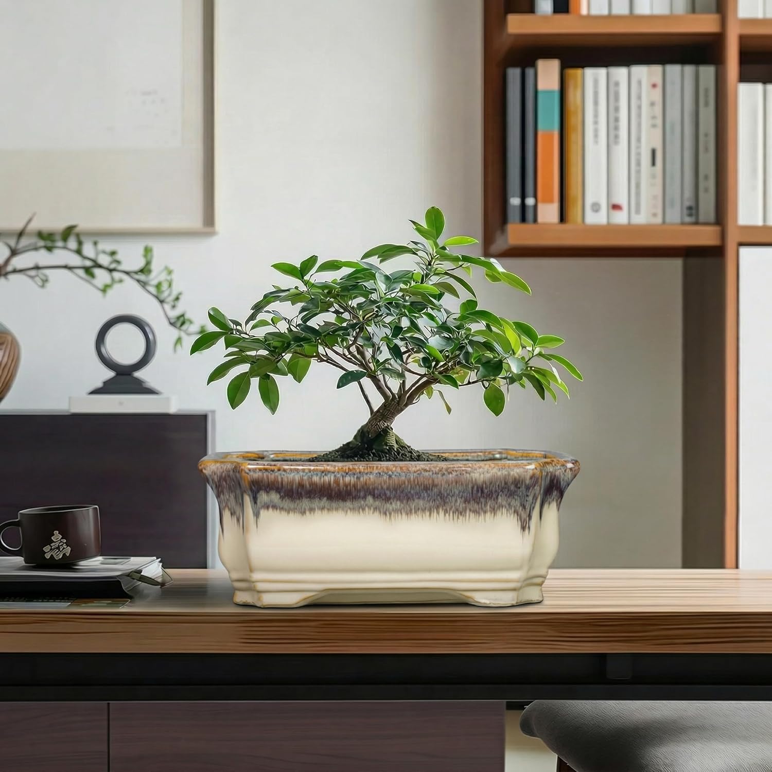 11.6 Inch Succulent Pots - Ceramic Bonsai Tree Pots with Drainage Hole, Succulent Planters for Indoor Plants Outdoor, Bonsai Planter, Garden Decor, House Warming Gifts, Rectangular Beige-Brown