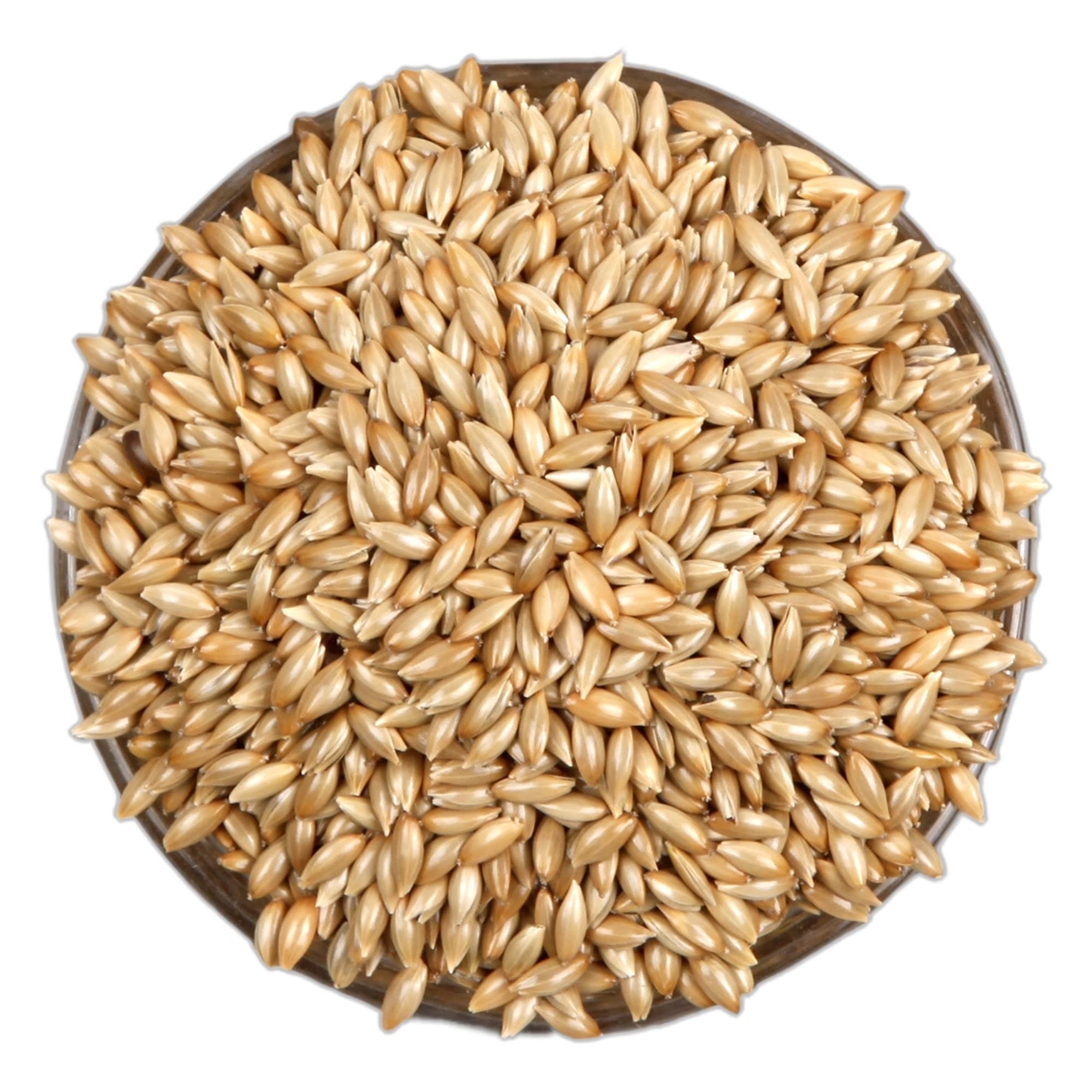 Ps Reseller Imported Canary Seed for Small & Medium Bird Food (900 GM) (B094X4Z8LP) Amazon Price History, Amazon Price Tracker
