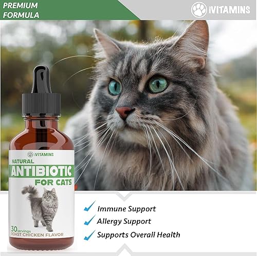 Miniatura 2 de Antibiótico para gatos para infecciones, infecciones, infecciones, momentos respiratorios, resfriados y alergias Antibióticos para gatos de todas