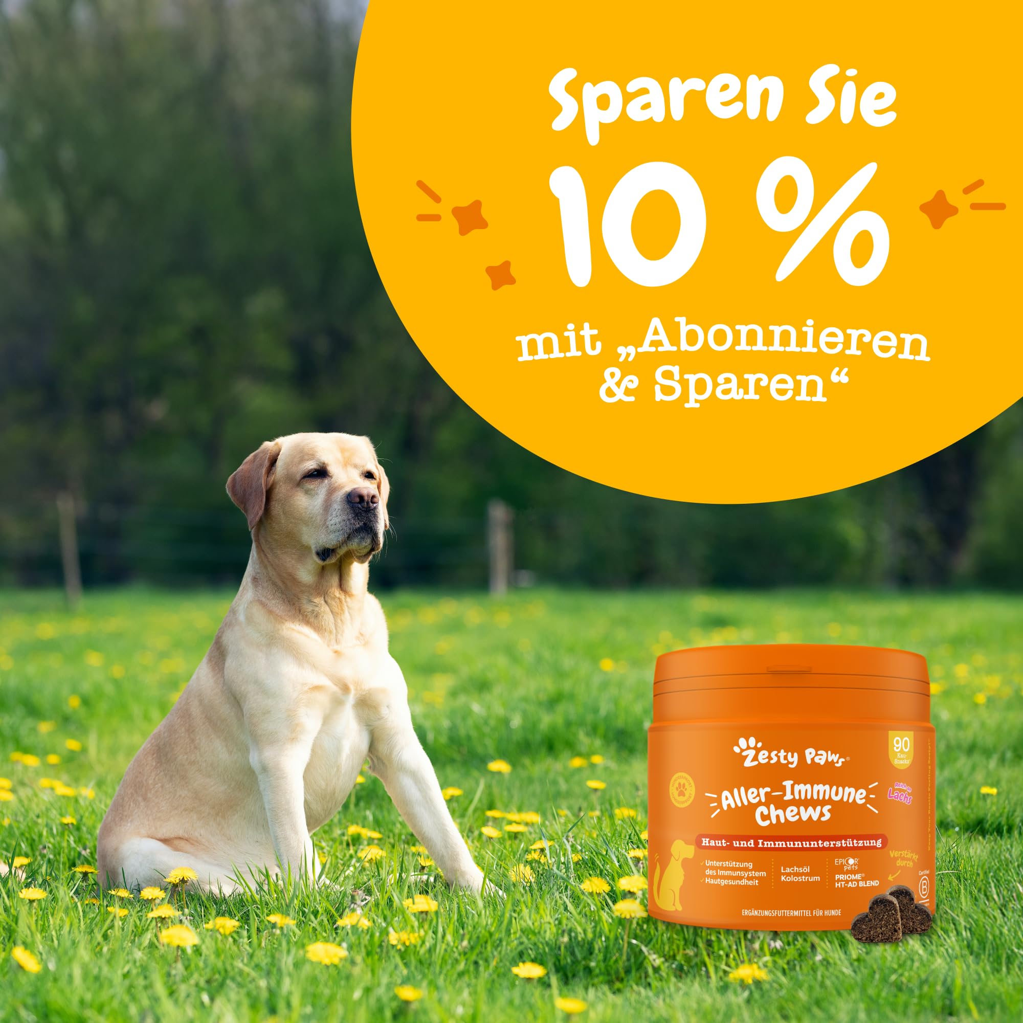 Zesty Paws Aller-Immune Chews for Dogs | Supports Immune Function, Helps Gut, Skin & Coat Health, For Itchy, Dry Skin | Contains Salmon Oil, Prebiotics, Probiotics, Vitamin A | Daily Use | 90 Chews