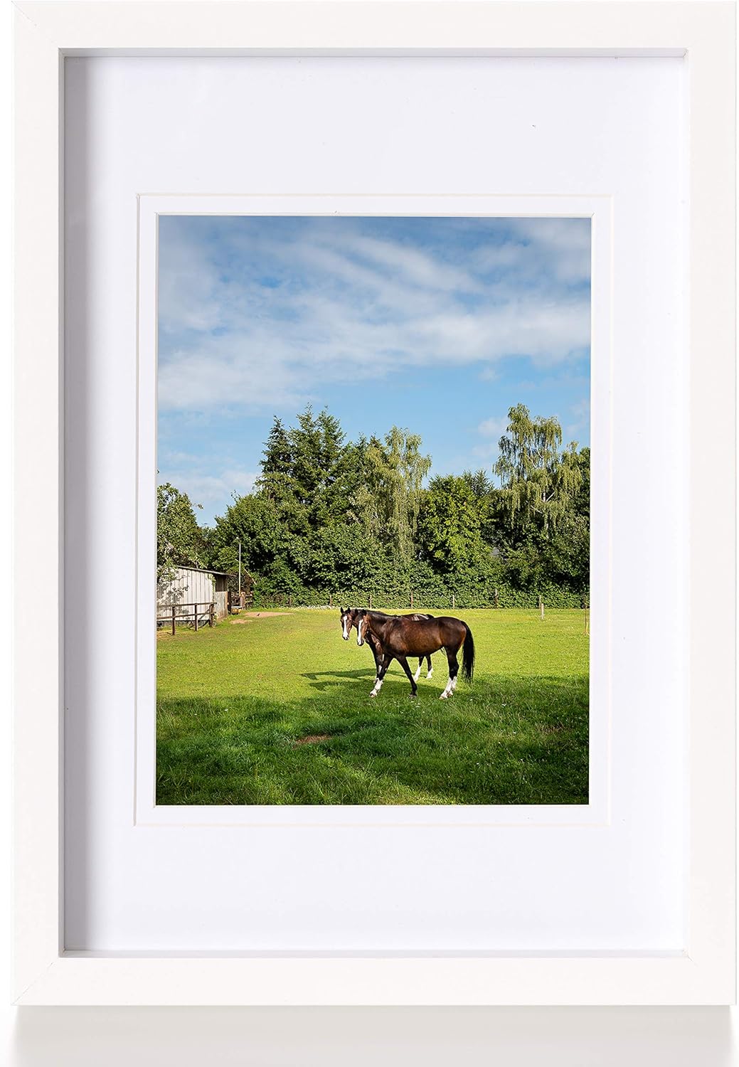 GR8! Art Enjoy A4 White Photo Frame with mount for a 8×6” image A4