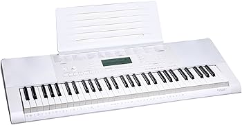 CASIO LK-120 電子キーボード 61鍵盤 LK-120 - Key Lighting Keyboards - Electronic Musical