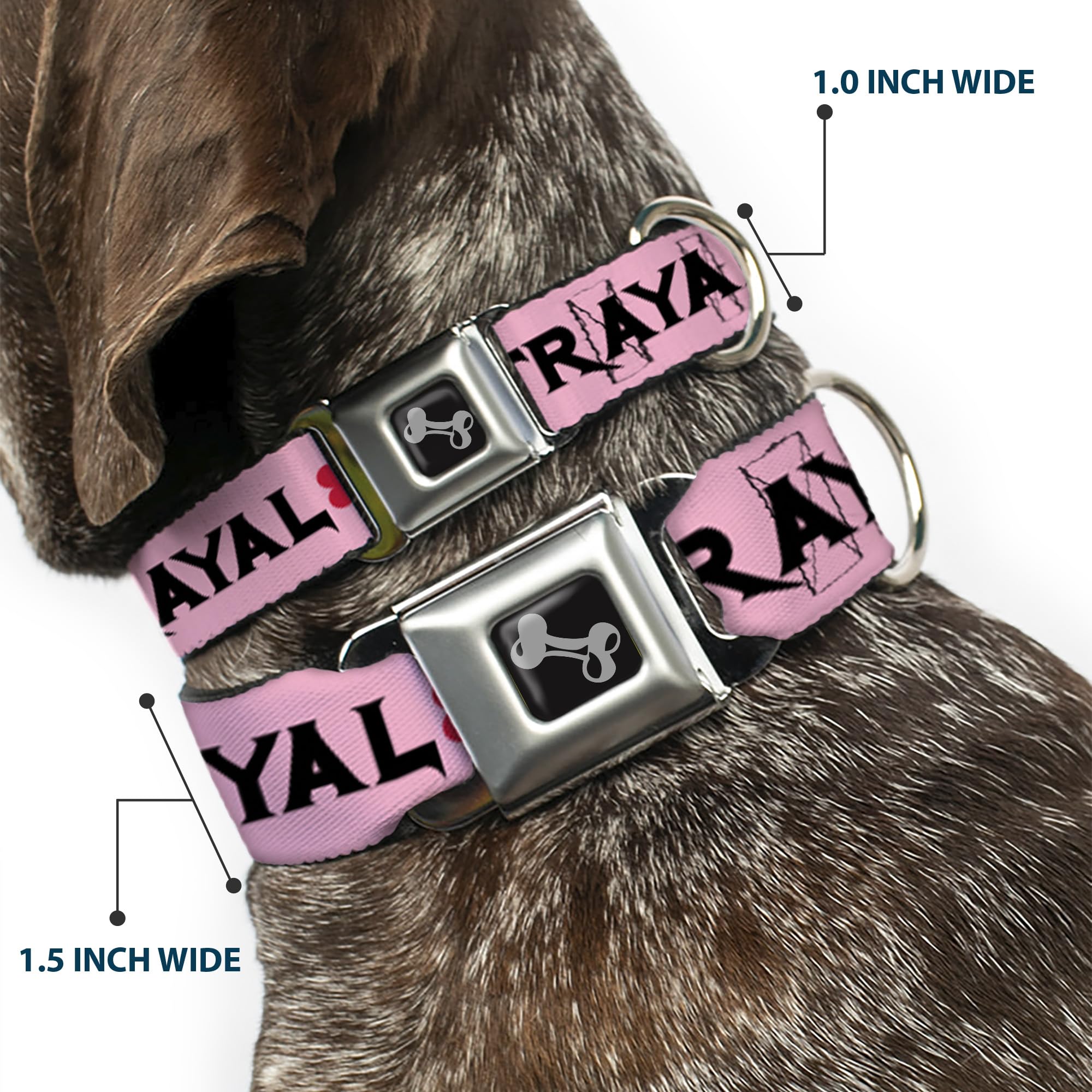 Buckle Down Love/Hate/Tradimento Rosa/Nero/Fucsia Collare Osso, L/15 – 66 cm