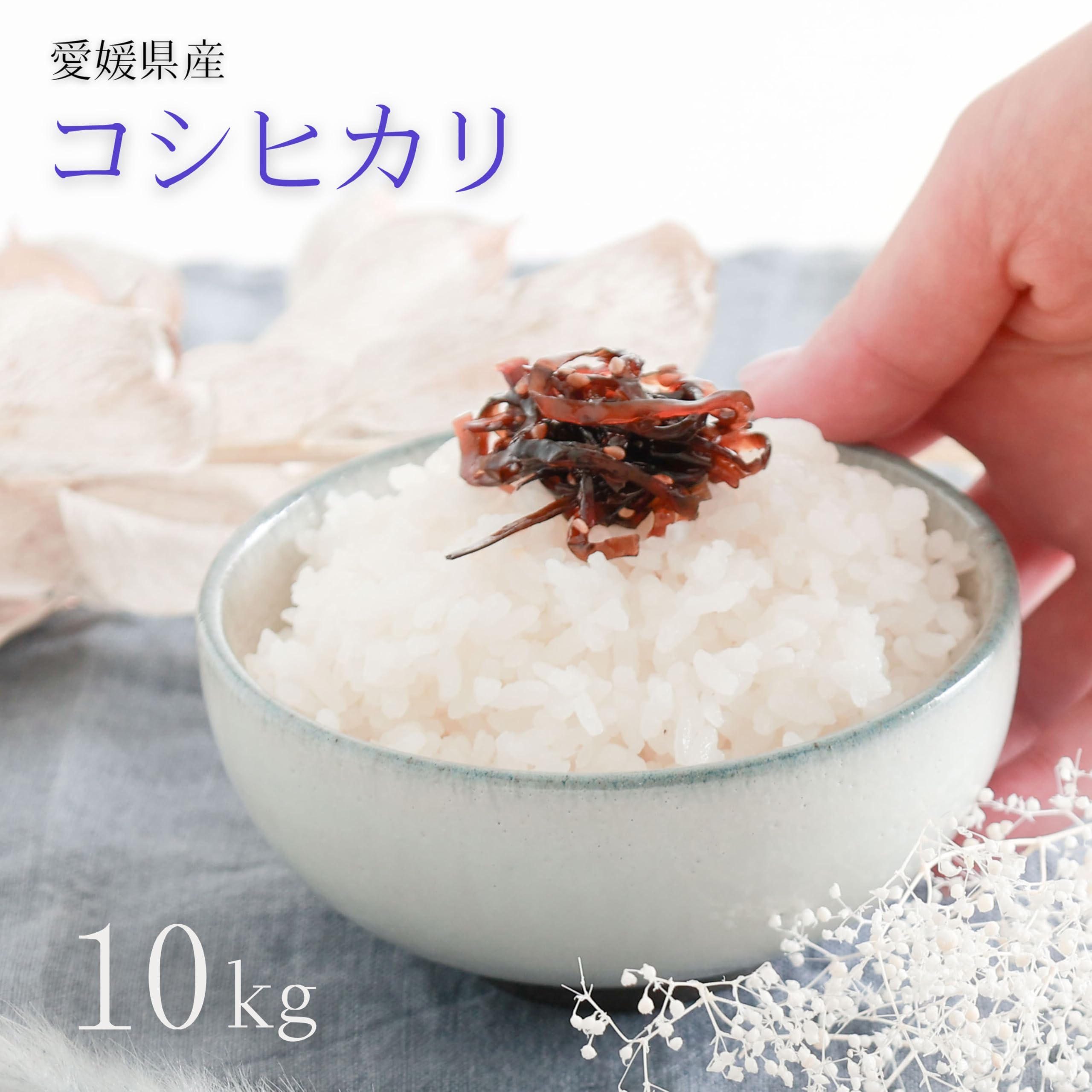 愛媛県産 無農薬 コシヒカリ 10kg〜 令和7年度米 精米済 愛媛県産 無農薬 コシヒカリ 10kg〜 令和7年度米 精米済 愛媛県産 無