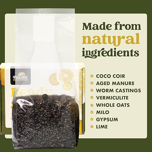 Miniatura 5 de Kit de cultivo de hongos  Grano esterilizado todo en uno fácil de cultivar y sustrato a base de estiércol  Cultiva hasta 2 libras de hongos frescos