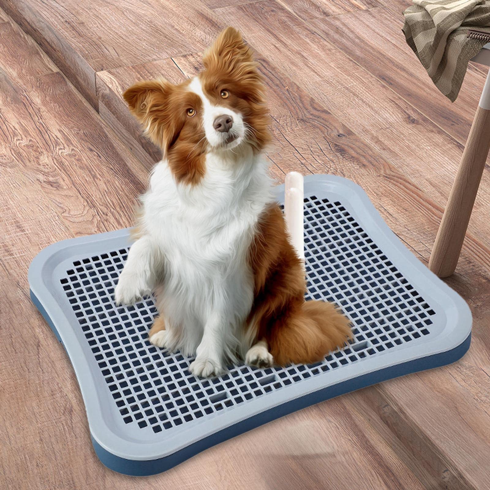 Sharplace Haustier-Katzen-Trainingstoiletten-Tablett, Töpfchen-Trainer, leicht zu reinigen, Katzenstreu, Bettkasten, Urinal, Hunde-Töpfchen-Tablett, PIPI-Pad, Cyan