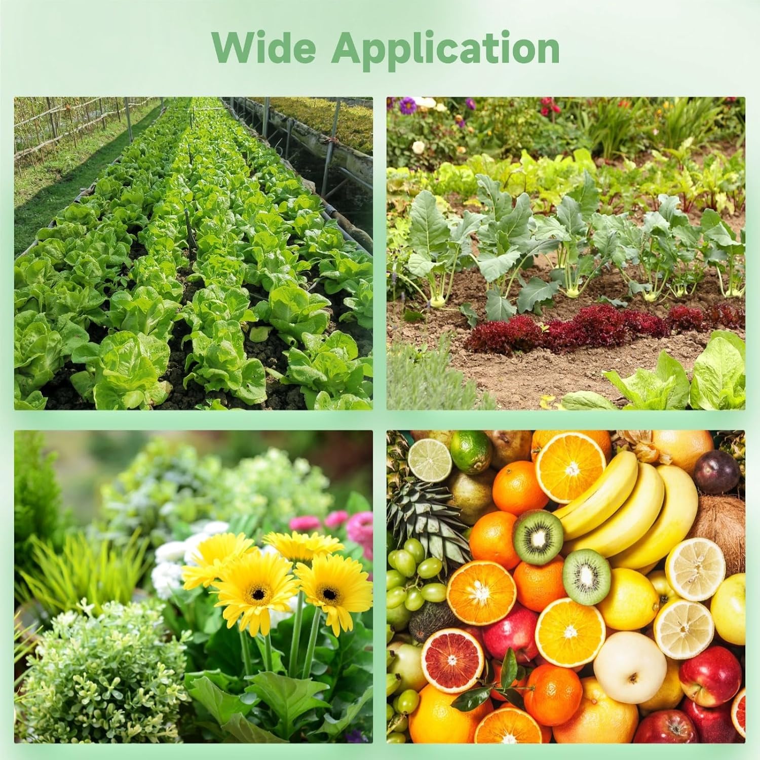 Plastic Nursery Bags, Seedling Flower Starting Pots, Tall Square Plant Containers, Succulent, Fruit Flower Grow Bags for Garden, 50 Pcs