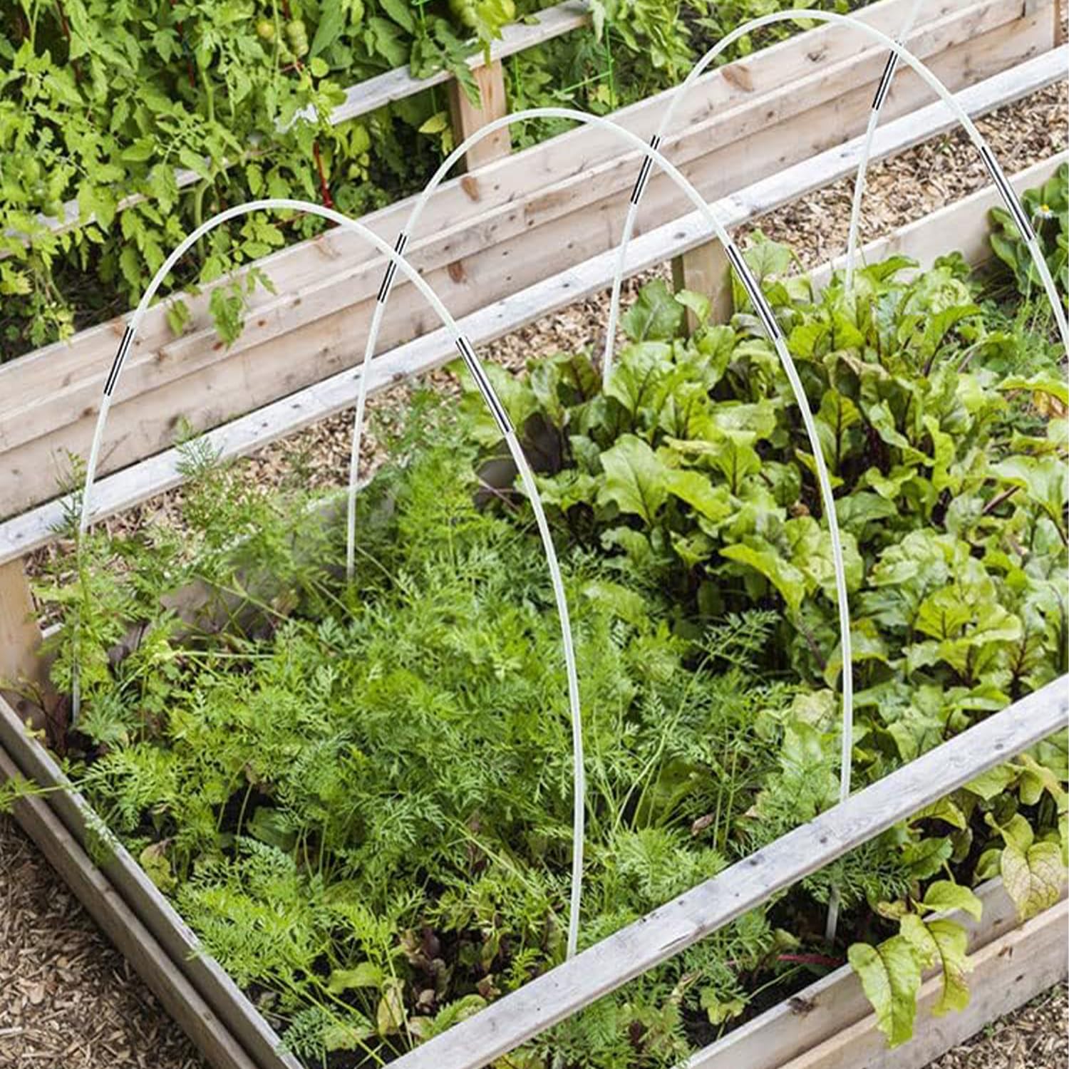 YeahBoom Garden Arceaux pour Serre Tunnel, Tunnel de Plantation arqué, Cadre pour Serre De Jardin, Plantes Poussent des Tunnels Soutien Maisons Jardinage Un Cadre Culture en Fibre Verre Jardins