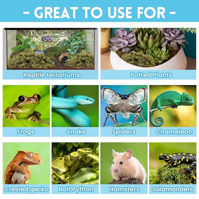 Foto 6 de 7 de Riare Musgo esfagno prémium de 7 onzas para reptiles, 10 cuartos de galón de musgo vivo natural para terrario
