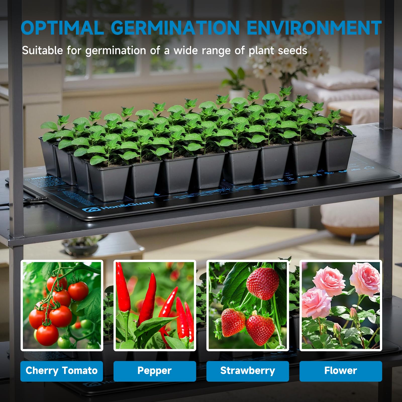 Hon&Guan 55 W eficiente para Mantener el Calor para Plantas con termostato, Juego de Estera térmica para germinación de plántulas, Mascotas, Reptiles, Cama Caliente, colchoneta 25 x 53 cm, IP67, 1
